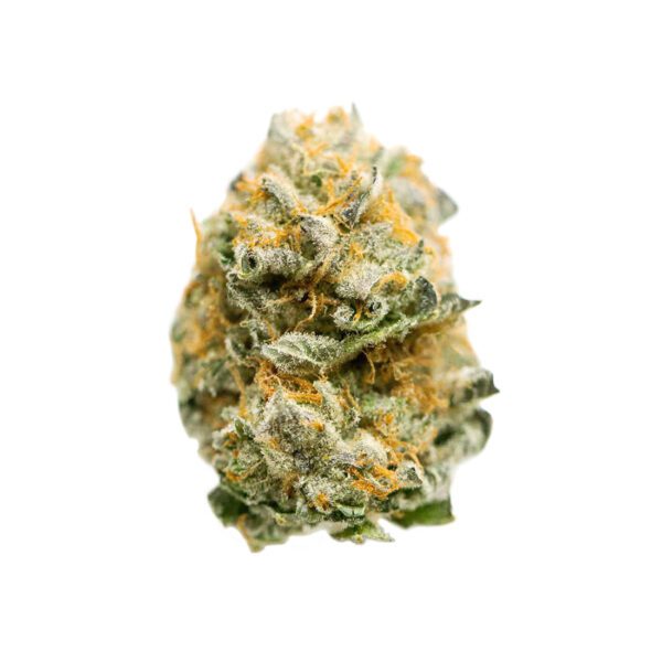 3.5G PRIMUS 27.77% THC HYBRID FLOWER FLORA VEGA