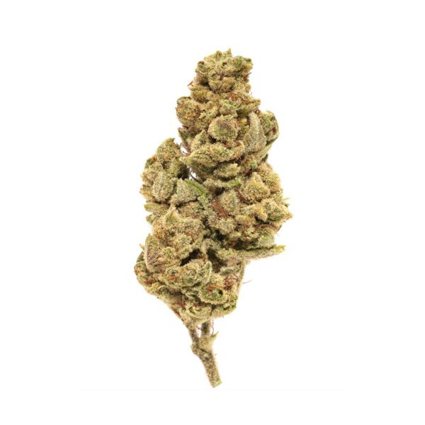3.5G CHERNOBYL 25.93% THC HYBRID FLOWER FLORA VEGA