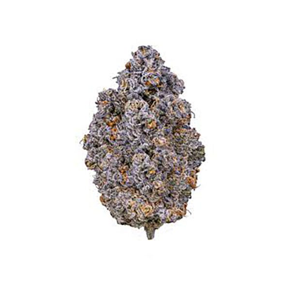 14G (1/2 OZ) RISE UP 16.36% THC HYBRID FLOWER - SILVER BLACK ATTACK