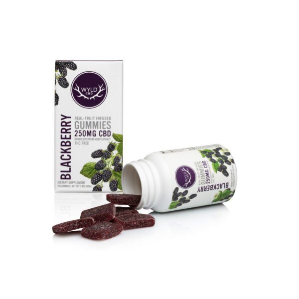 500MG BLACKBERRY CBD GUMMIES WYLD