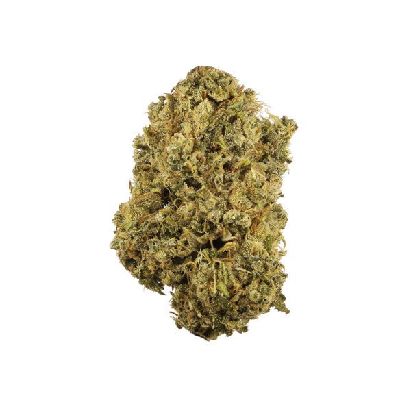 3.5G DURBAN POISON 18.42% THC SATIVA FLOWER SAFETY MEETING