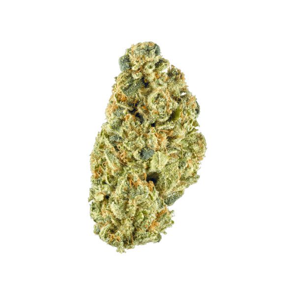 3.5G HEADBAND 29.43% THC SATIVA HYBRID FLOWER FLORA VEGA