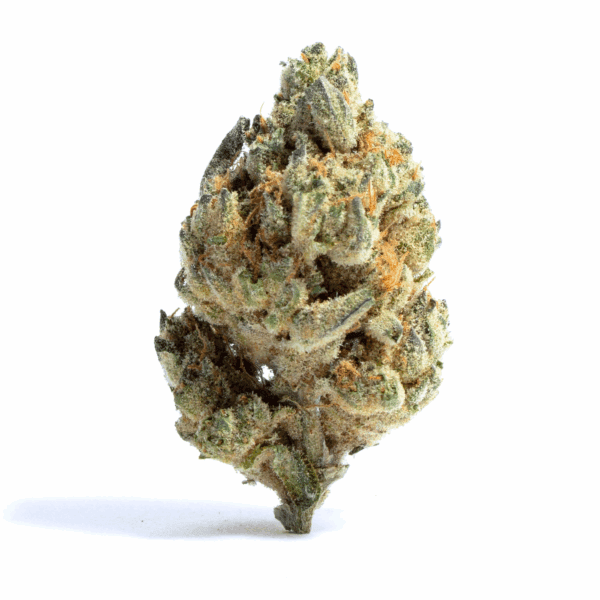 3.5G ICE CREAM MINTZ 27.60% THC INDICA FLOWER FLORA VEGA