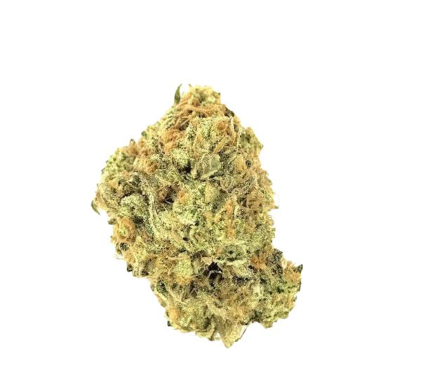 3.5G CAMBRIDGE PECAN PIE 27.75% THC INDICA-HYBRID FLOWER SESSION
