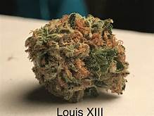 king Louie XIII