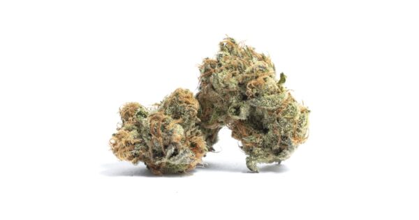 3.5G COOKIES GSC 15.65% THC FLOWER SILVER BLACK ATTACK CULTIVATION