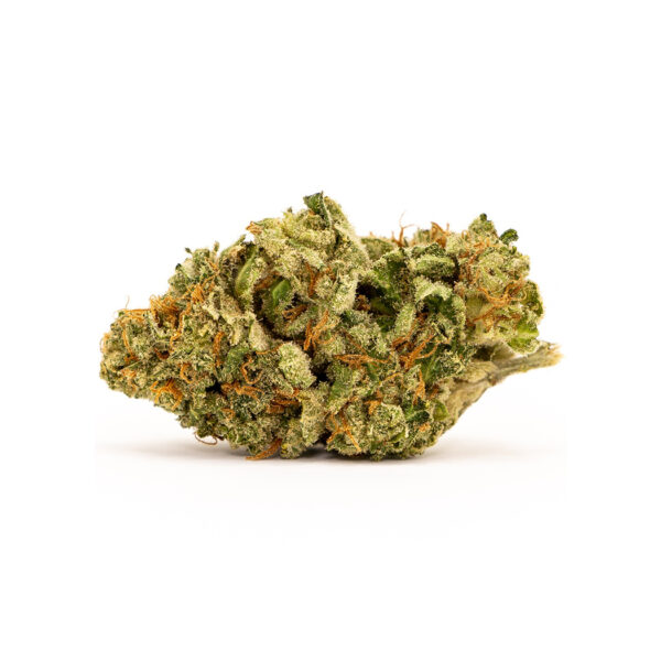 3.5G WHITE TRUFFLE 23.59% THC INDICA FLOWER STIIIZY