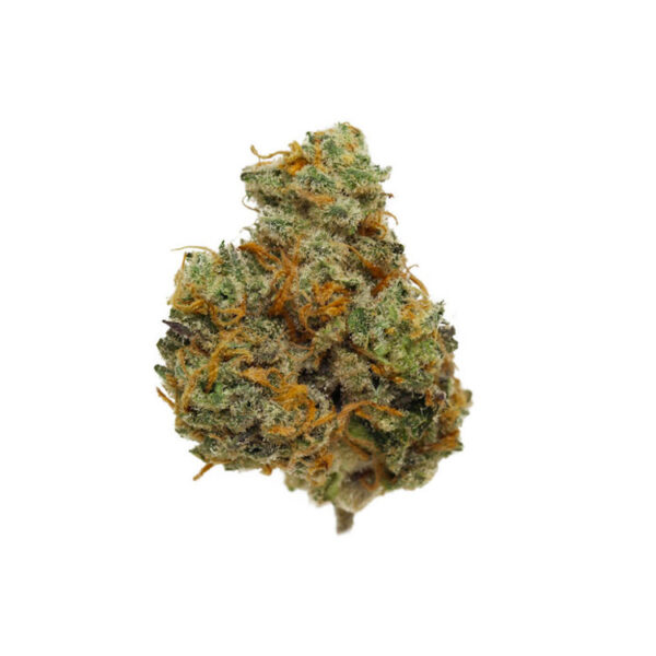 3.5G GOATS MILK 21.62% THC INDICA FLOWER STIIIZY