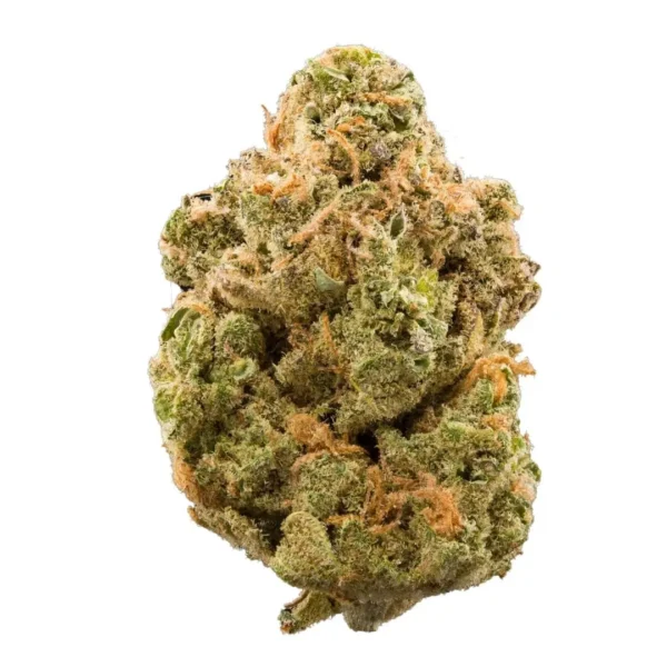 3.5G BIO-JESUS 25.83% THC INDICA FLOWER SAFETY MEETING
